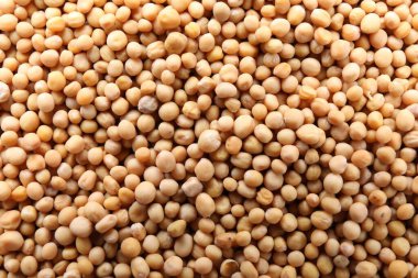 Arkaplan olarak hardal tohumları yığını, yakın plan