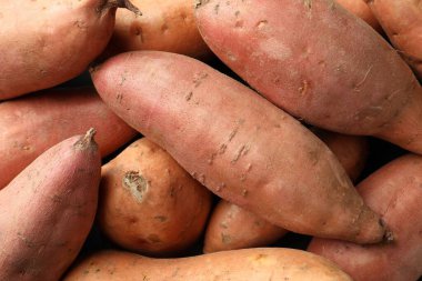 Taze taze patatesler arka planda, yakın plan.