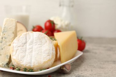 Gri masada servis edilen farklı taze süt ürünleri, yakın plan. Metin için boşluk