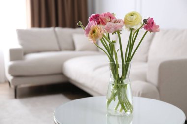 Oturma odasındaki masada güzel ranunculus çiçekleri, metin için yer