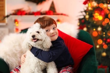 Noel için dekore edilmiş, şirin köpeğiyle küçük bir çocuk.