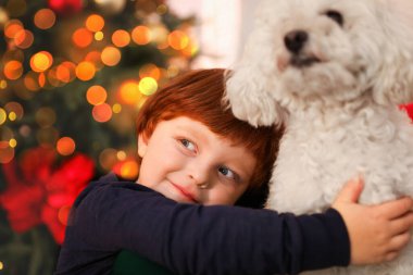 Küçük çocuk, Noel için dekore edilmiş şirin köpeğiyle odada.