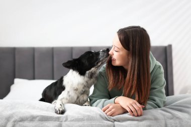 Evde yatağında Collie köpeği olan bir kadın.
