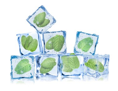 Beyaz üzerine izole edilmiş buz küplerindeki taze nane yaprakları.