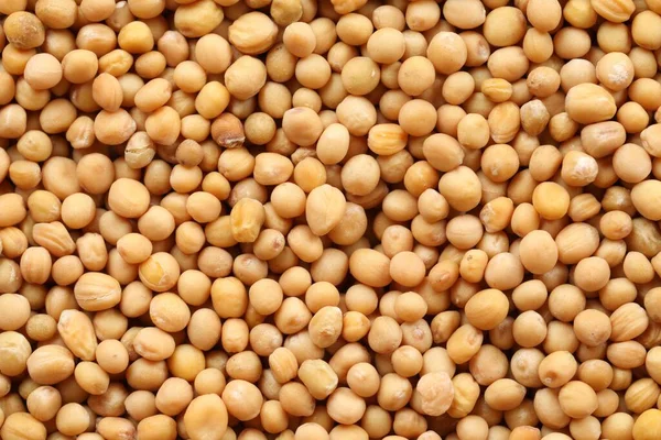 Arka plan olarak birçok hardal tohumu, yakın plan