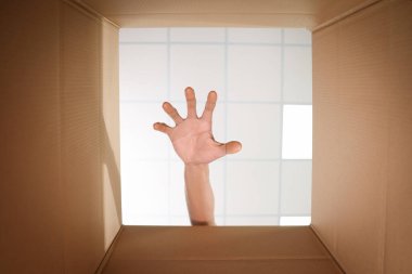 Karton kutuya uzanan adam, yakın plan. İçeriden görüntüle