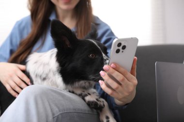 Akıllı telefonlu bir kadın ve sevimli köpeği evdeki kanepede, yakın plan.