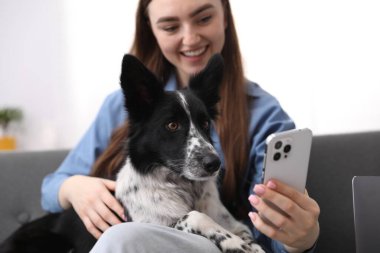 Gülümseyen kadın akıllı telefondan ve sevimli köpeğiyle evdeki koltukta video görüşmesi yapıyor.