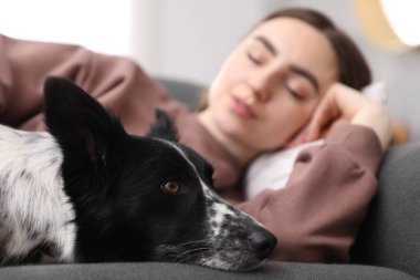 Sevimli köpeğiyle evdeki kanepede uyuyan, seçici odaklı genç bir kadın.