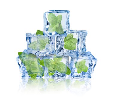Beyaz üzerine izole edilmiş buz küplerindeki taze nane yaprakları.