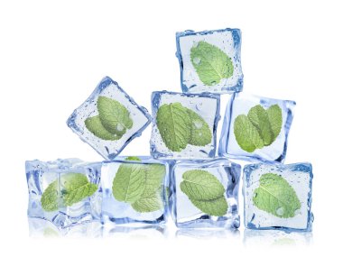 Beyaz üzerine izole edilmiş buz küplerindeki taze nane yaprakları.