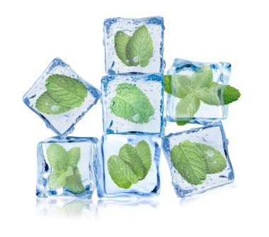 Beyaz üzerine izole edilmiş buz küplerindeki taze nane yaprakları.