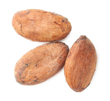 Doğal kakao çekirdekleri beyaz üzerine izole edilmiş.