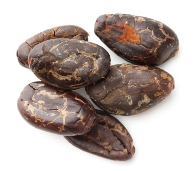 Doğal kakao çekirdekleri beyaz üzerine izole edilmiş.