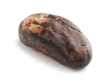 Bir doğal kakao çekirdeği beyaz üzerine izole edilmiş.