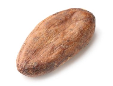 Bir doğal kakao çekirdeği beyaz üzerine izole edilmiş.
