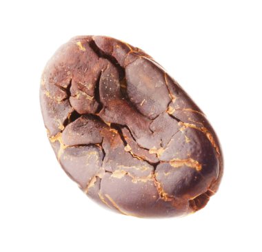 Bir doğal kakao çekirdeği beyaz üzerine izole edilmiş.