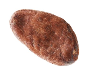 Bir doğal kakao çekirdeği beyaz üzerine izole edilmiş.