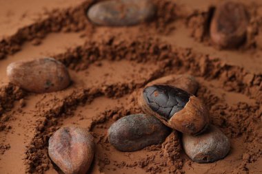 Toz üzerine doğal kakao çekirdekleri, yakın plan.