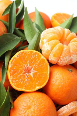 Açık arkaplanda taze mandalina ve yeşil yapraklar, yakın plan.