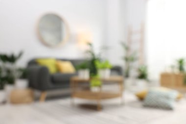 Rahat kanepe, kahve masası ve farklı saksı bitkilerinin bulanık görüntüsü.