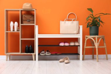 Ayakkabı deposu, farklı ayakkabılar, aksesuarlar ve turuncu duvarın yanındaki ev bitkisi.