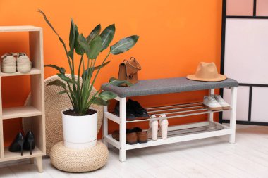 Farklı ayakkabı, aksesuarlar ve turuncu duvarın yanındaki ev bitkileriyle dolu bir ayakkabı deposu.