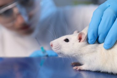 Laboratuvarda fareyle çalışan bilim adamı, seçici odaklanma.