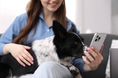 Akıllı telefonlu gülümseyen kadın ve evdeki kanepede oturan sevimli köpeği, yakın plan.