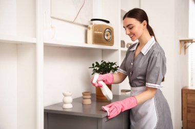 Kadın temizlik ürünlerini spreylerken kapalı alandaki tozları temizliyor.