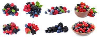 Beyaza izole edilmiş taze böğürtlen karışımı.