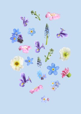 Pastel mavi arka planda havada güzel bahar çiçekleri