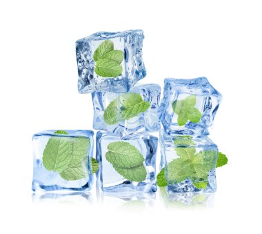 Beyaz üzerine izole edilmiş buz küplerindeki taze nane yaprakları.
