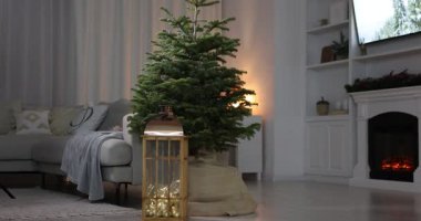 Güzel Noel ağacı, fener ve kanepe oturma odasında, kamera içeri giriyor.