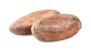 İki doğal kakao çekirdeği beyaz üzerine izole edilmiş.