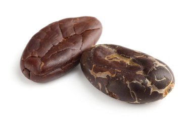 İki doğal kakao çekirdeği beyaz üzerine izole edilmiş.