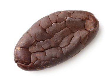 Bir doğal kakao çekirdeği, beyaz üzerine izole edilmiş, üst manzara.