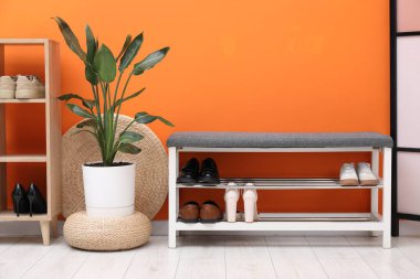 Ayakkabı bankı, farklı ayakkabılar ve turuncu duvarın yanında ev bitkisi.