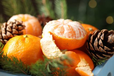 Olgun mandalinalar, koniler ve köknar dalları bulanık arka planda sandıkta, yakın plan. Bokeh etkisi