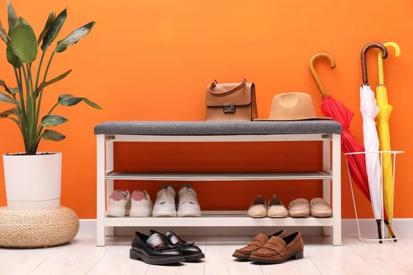 Farklı ayakkabı, aksesuarlar ve turuncu duvarın yanındaki ev bitkileriyle dolu bir ayakkabı deposu.