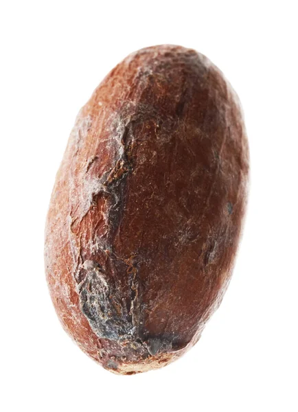 Bir doğal kakao çekirdeği beyaz üzerine izole edilmiş.