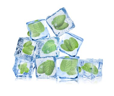 Beyaz üzerine izole edilmiş buz küplerindeki taze nane yaprakları.