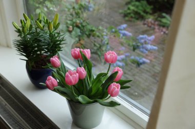 Pembe laleli güzel bir buket ve beyaz pencere pervazına konmuş zambak.