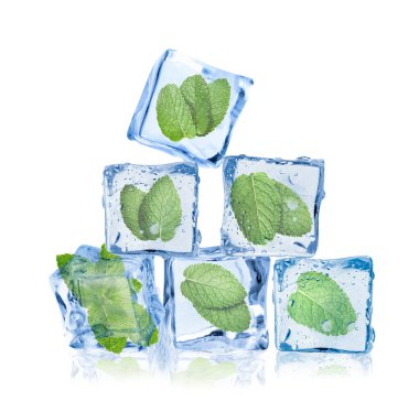 Beyaz üzerine izole edilmiş buz küplerindeki taze nane yaprakları.