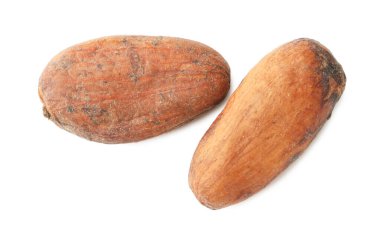 Doğal kakao çekirdekleri beyaz üzerine izole edilmiş.