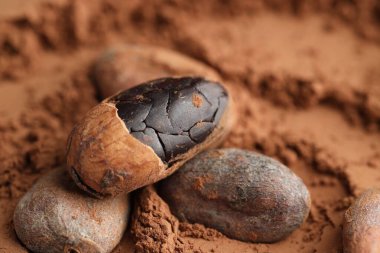 Toz üzerine doğal kakao çekirdekleri, yakın plan.