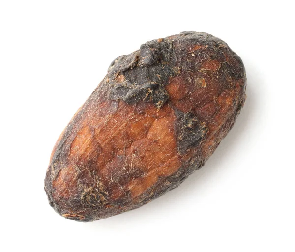 Bir doğal kakao çekirdeği, beyaz üzerine izole edilmiş, üst manzara.