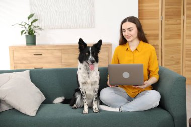 Evdeki kanepede dizüstü bilgisayarı ve sevimli köpeği olan güzel bir kadın.