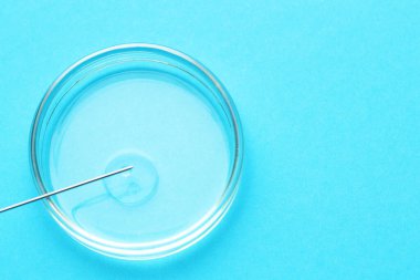 Tüp bebek tedavisinde. Açık mavi arka planda sıvı numuneli iğne ve petri kabı, üst manzara. Metin için boşluk