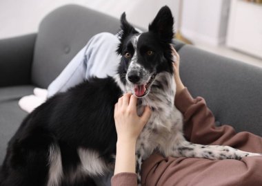 Evdeki kanepede sevimli köpeğiyle uzanan kadın, yakın plan.